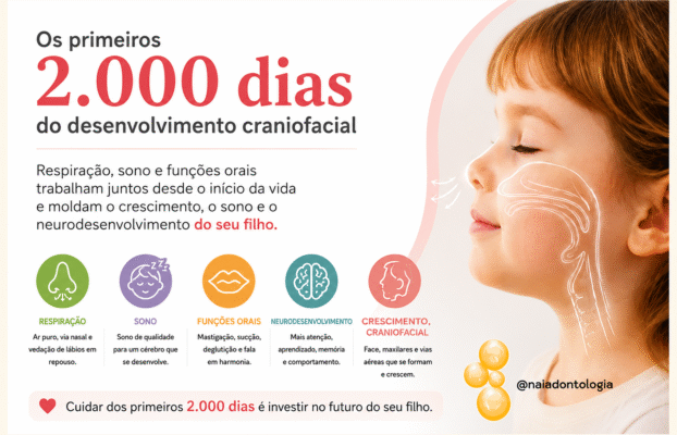 Os primeiros 2.000 dias do desenvolvimento craniofacial