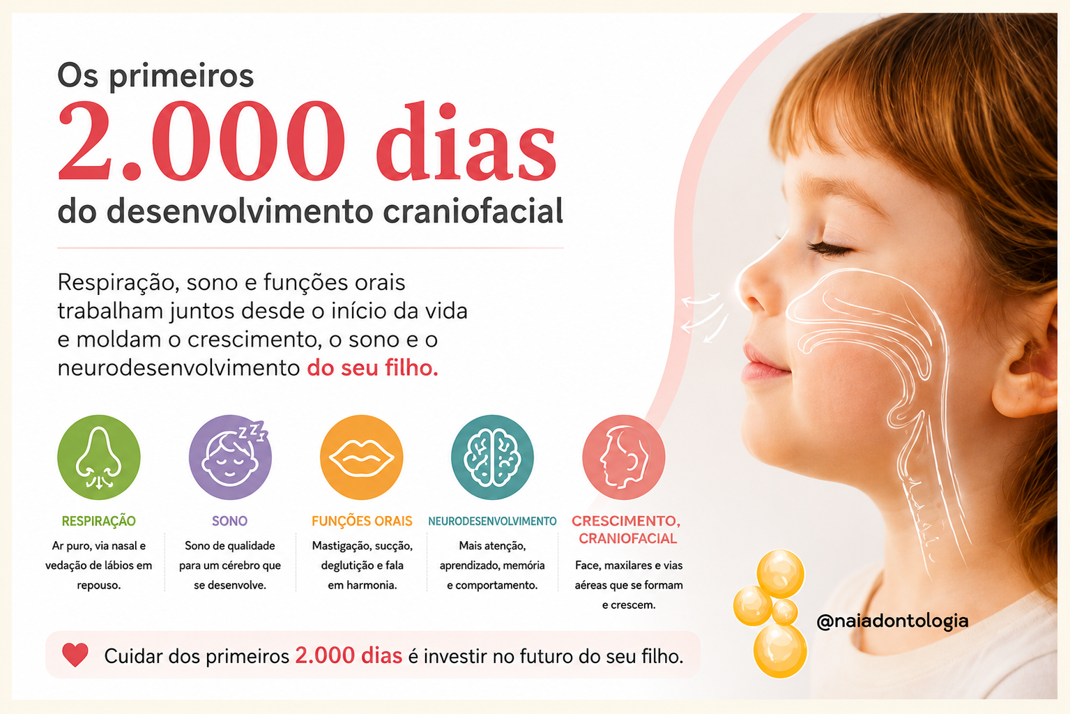 Os primeiros 2.000 dias do desenvolvimento craniofacial